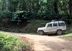 Suvarnagiri Stay Inn